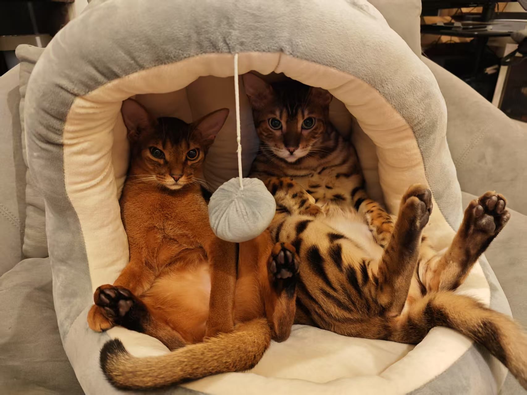 Welcome! Come meet Jason and JARVIS